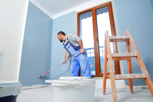 Trusted Stratford, TX Mold Removal Experts