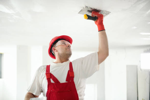 Best Asbestos and Lead Testing During Mold Inspection  in Stratford, TX